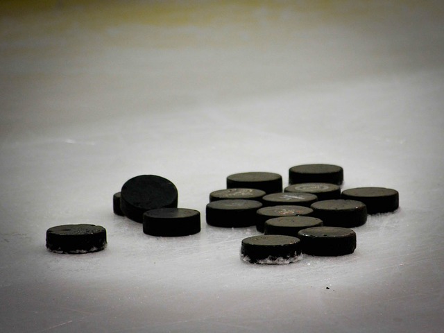 hockey-puck-608582_640