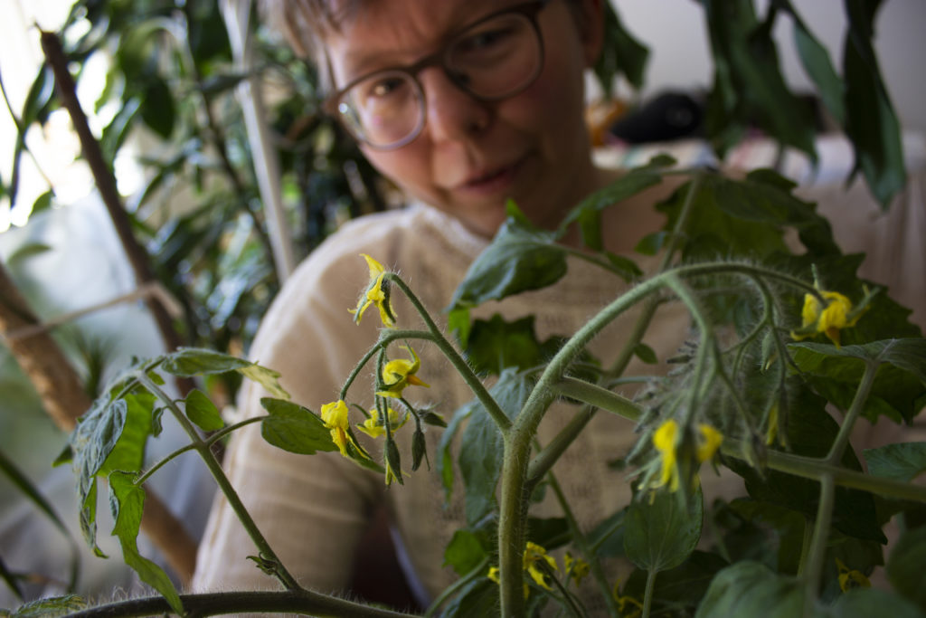Oululainen Saara Salmela on ollut kiinnostunut kasveista lapsesta saakka.