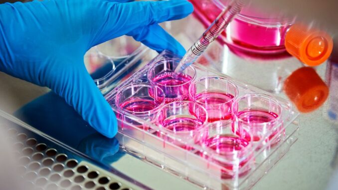 oulun_yliopisto_biocenter